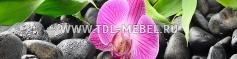 Фартук с фотопечатью Орхидея